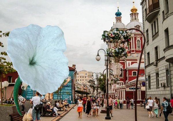 Тайны Замоскворечья: следы старой Москвы (экскурсия + мастер-класс)