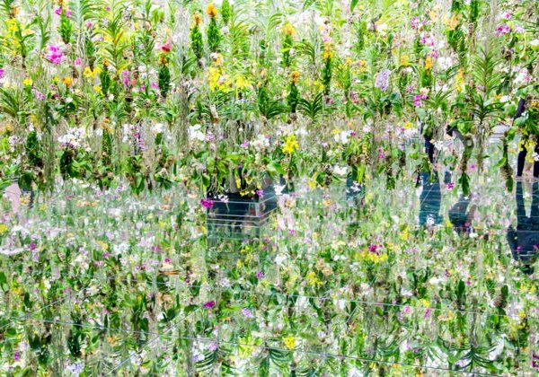 TeamLab Planets TOKYO Digital Art Museum: входной билет - фото 1