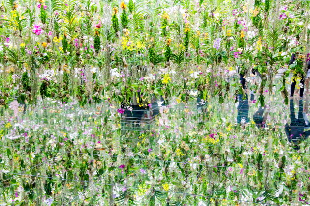Фото экскурсии - TeamLab Planets TOKYO Digital Art Museum: входной билет - 3