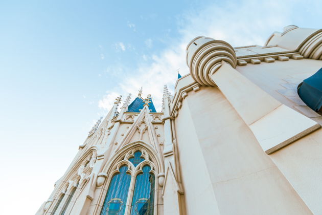 Фото экскурсии - Tokyo Disneyland: билет на день - 4