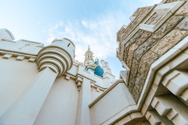Фото экскурсии - Tokyo Disneyland: билет на день - 1