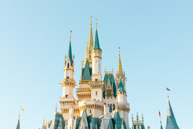 Фото - экскурсия: Tokyo Disneyland: билет на день