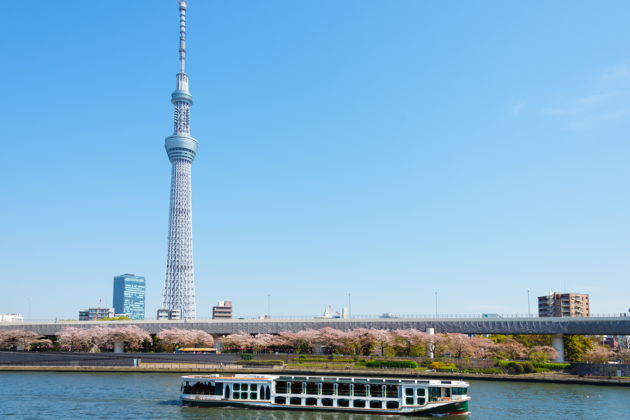 Фото экскурсии - Входной билет в башню Skytree в Токио - 6