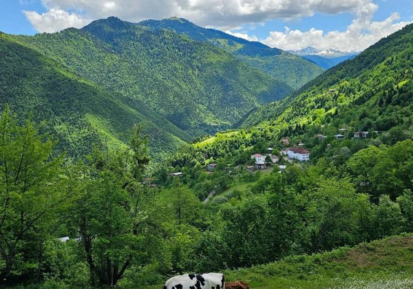 Путешествие по сказочной Шуахеви