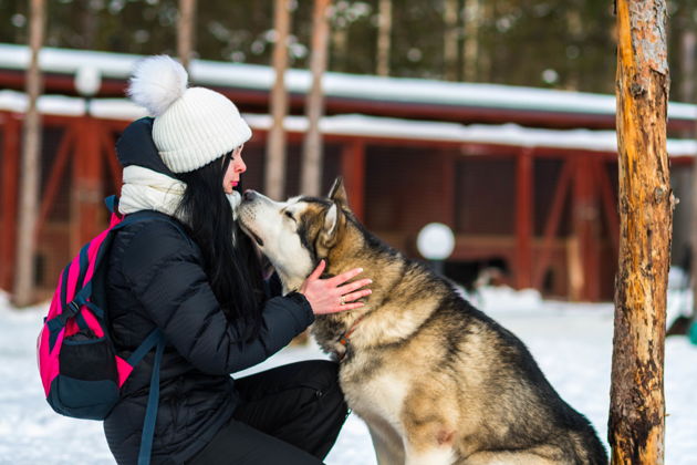 Фото экскурсии - Карельская резиденция Деда Мороза с хаски и северными оленями - 10