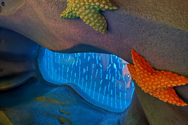Фото экскурсии - Tokyo DisneySea: билет на один день - 3