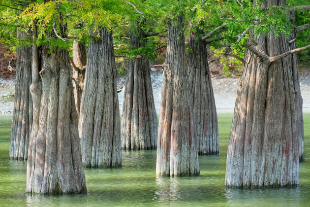 Фото - экскурсия: Прогулка по заповеднику Утриш и Кипарисовому озеру