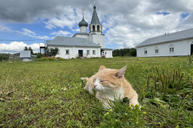 Фото - экскурсия: Гороховец — чудо на Клязьме