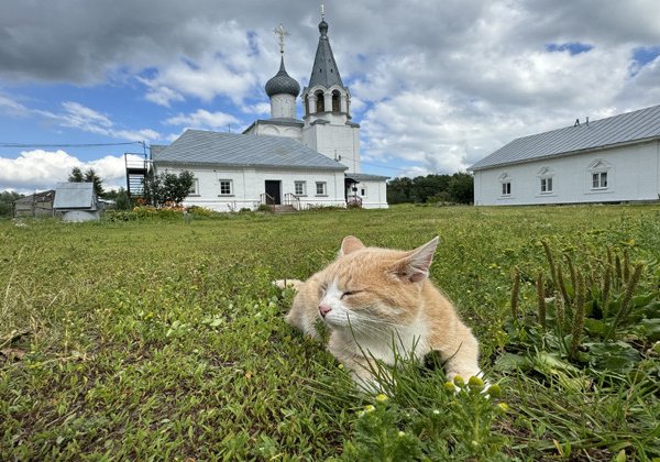 Гороховец - волшебный город на берегах Клязьмы