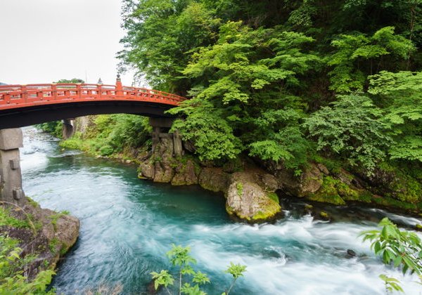 Никко, храм Тосёгу, водопад и озеро Тюдзендзи - фото 4