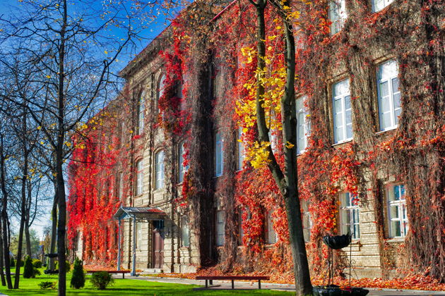 Фото экскурсии - Трансфер Минск — Гродно с посещением Лидского замка - 6