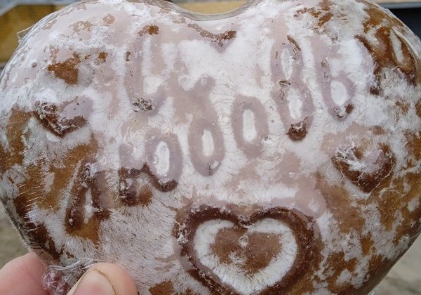 Городец и Семёнов: хохлома, росписи, пряники + канатная дорога - фото 2