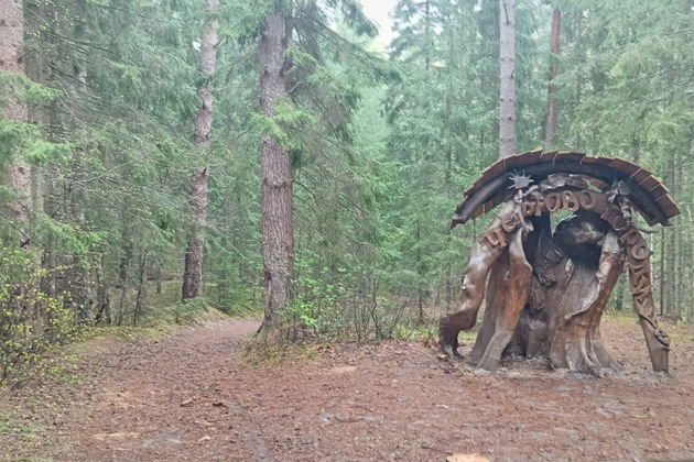 Фото экскурсии - «Злой город» Козельск, «Чертово городище»,  национальный парк " Угра" - 3