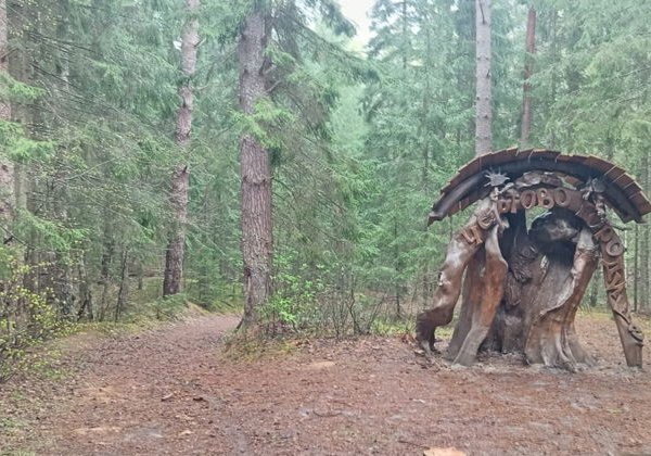 «Злой город» Козельск, «Чертово городище»,  национальный парк " Угра" - фото 3