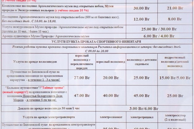 Фото экскурсии - Трансфер из Бреста в Беловежскую пущу  - 3