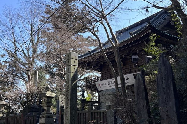 Фото экскурсии - Загадочный Такао: потаенный храм, лесные маршруты и панорама с горы - 7