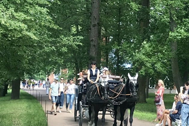Фото экскурсии - Экскурсия по Екатерининскому и Александровскому дворцам в Царском Селе в мини-группе - 7