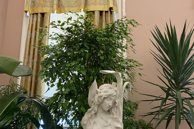 Фото экскурсии - Экскурсия по Екатерининскому и Александровскому дворцам в Царском Селе в мини-группе - 8