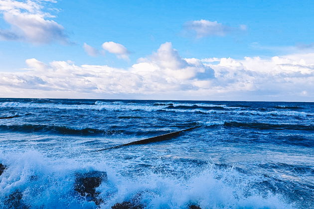 Фото экскурсии - Морское путешествие по Балтике: Светлогорск и Зеленоградск - 13