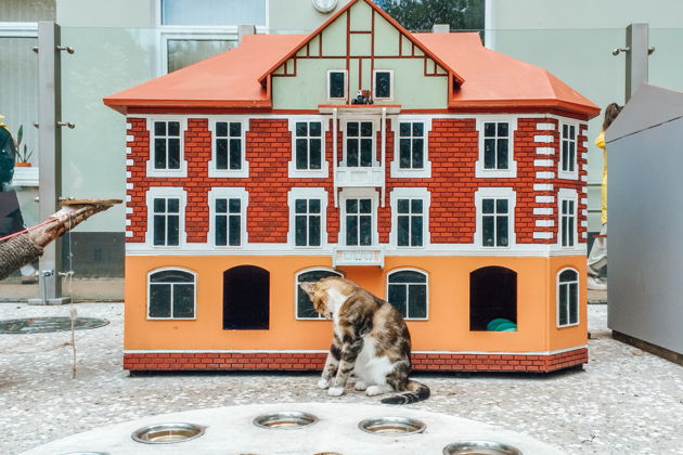 Фото экскурсии - Морское путешествие по Балтике: Светлогорск и Зеленоградск - 15