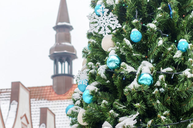 Фото - экскурсия: Морское путешествие по Балтике: Светлогорск и Зеленоградск