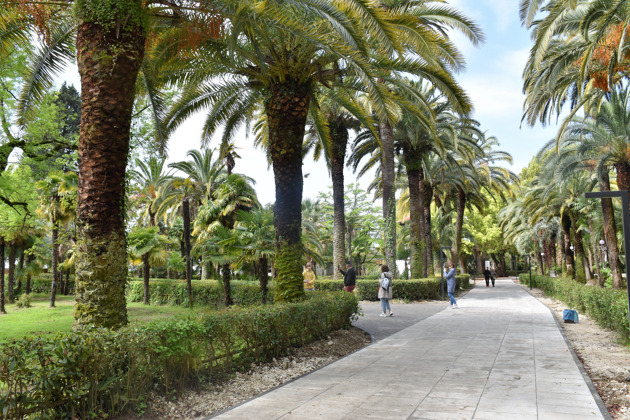 Фото - экскурсия: Двухдневное путешествие по Абхазии: Гагра, Рица, Новый Афон и Сухум