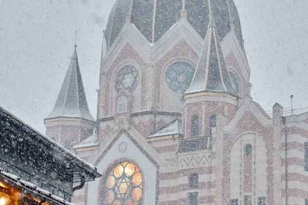 Фото экскурсии - Калининград: обзорная экскурсия по городу с непростой судьбой из Зеленоградска - 5