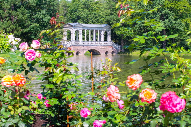 Фото экскурсии - Экскурсия в Пушкин: Екатерининский дворец парк и Янтарная комната - 9