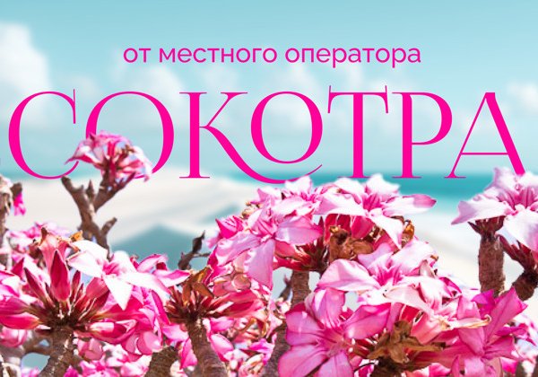 Сокотра-Увидеть бесконечность 10 дней треккинг 
