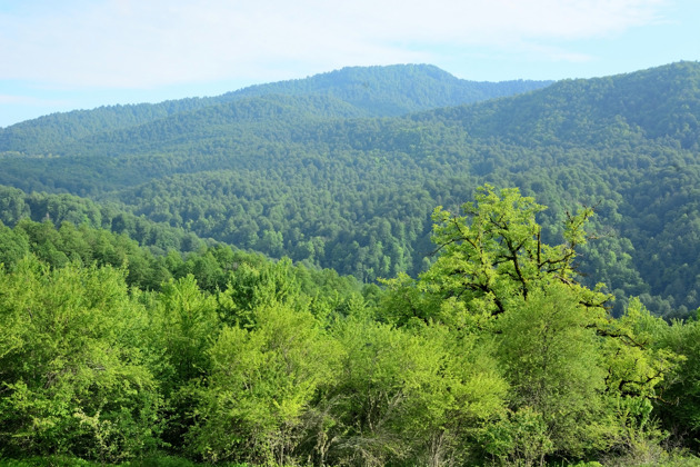 Фото - экскурсия: 4 дня: Кодорское ущелье, Южный приют и Клухорскии перевал