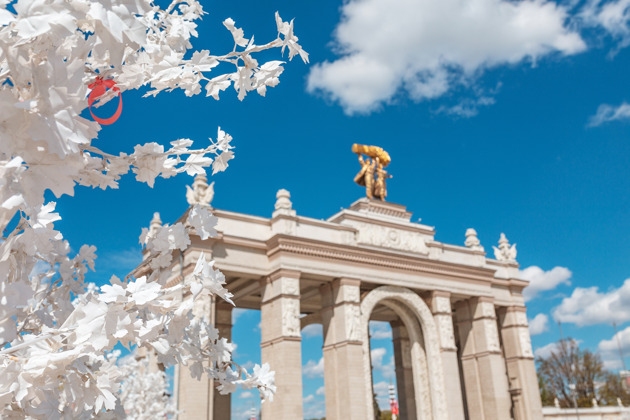 Фото - экскурсия: «Кто куда, а мы — на ВДНХ!»: экскурсия-игра для детей и взрослых