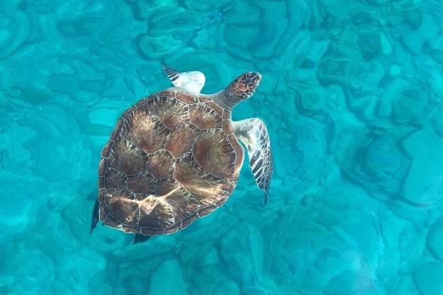 Фото экскурсии - Морская экскурсия на живописный остров Сулуада - 10