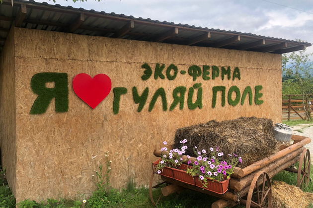 Фото экскурсии - Джип-тур в природном аквапарке с купанием - 6