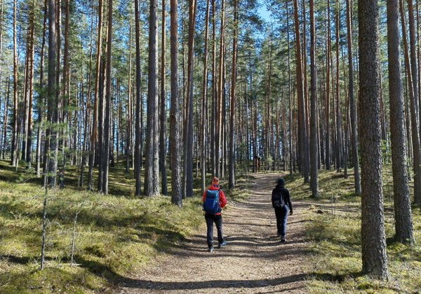 Семейная прогулка по ледниковой гряде - фото 3