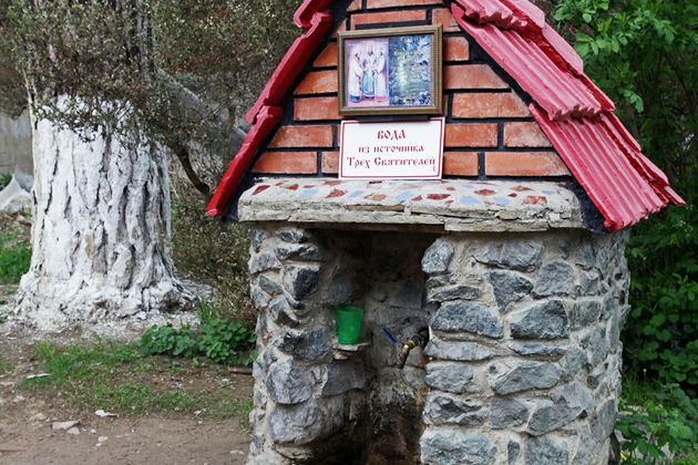 Фото экскурсии - Топловский монастырь и храм святителя Луки Крымского. - 5