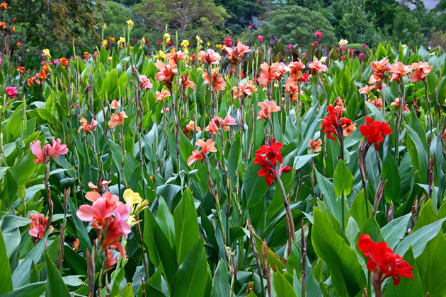 Весеннее путешествие : Никитский сад, красавица Ялта и море.