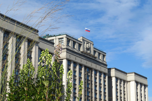 Фото - экскурсия: «Коридоры власти»: экскурсия по Государственной думе в мини-группе
