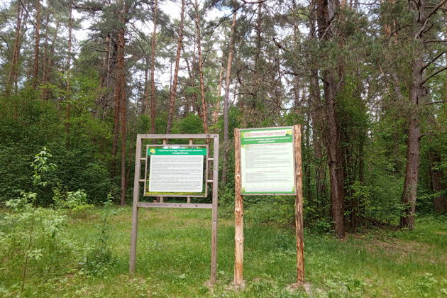 Фото экскурсии - Уединение в сосновом бору у моря с посещением монастыря для уставших от городской суеты - 10