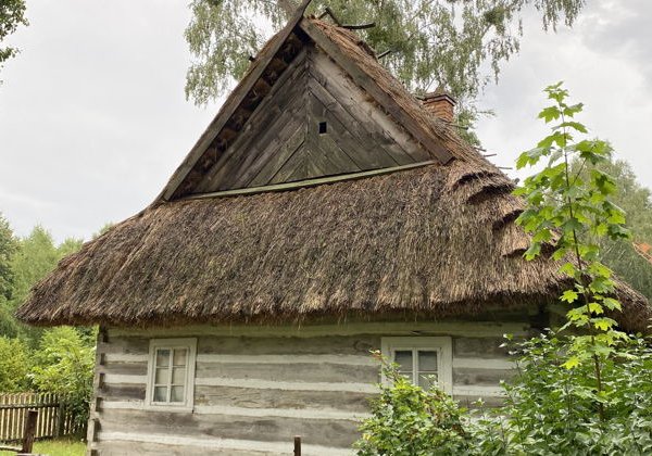 Эко-экспедиция из Бреста в Белорусское Полесье - фото 4