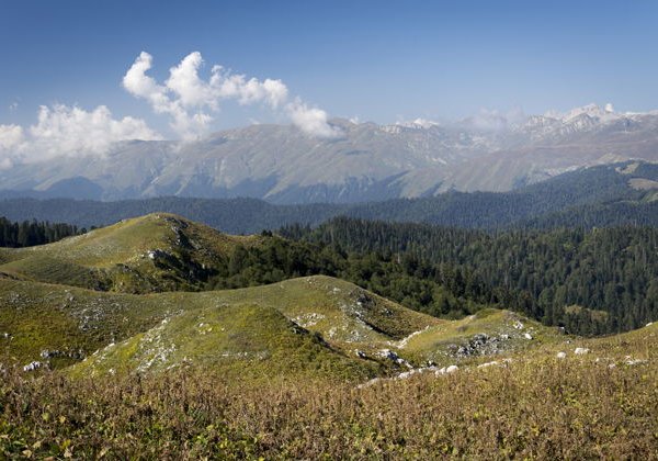 Приключения на горном бездорожье: авторский джип-тур к Мамзышхе - фото 3