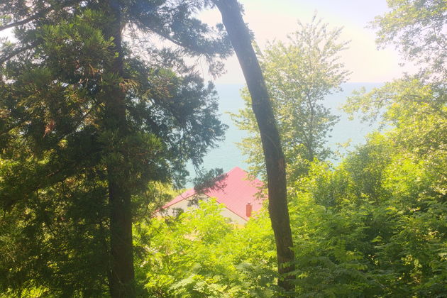 Фото экскурсии - Исследуем Кобулети и его живописные окрестности - 7