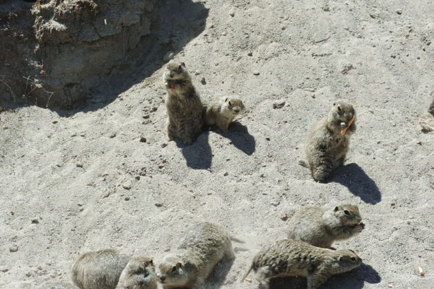 Фото экскурсии - Путешествие по плато Джилы-Су к живописным водопадам - 8