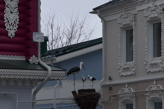 Фото экскурсии - Арзамас: город величественных соборов и уютных домиков - 2