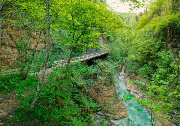 Авторский тур из Краснодара в Гуамское ущелье