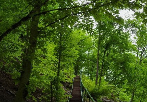 Скрытые сокровища Южного Дагестана: водопады Келе и каньон Мерки - фото 3
