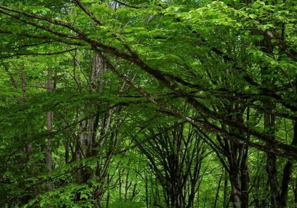 Скрытые сокровища Южного Дагестана: водопады Келе и каньон Мерки - фото 4