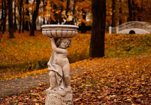 Прогулка по Белкинскому парку с погружением в его прошлое