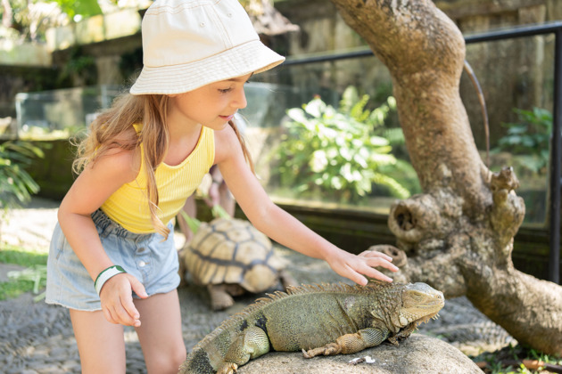 Фото - экскурсия: Входной билет в Парк Рептилий «Bali Reptile Park» на 1 день