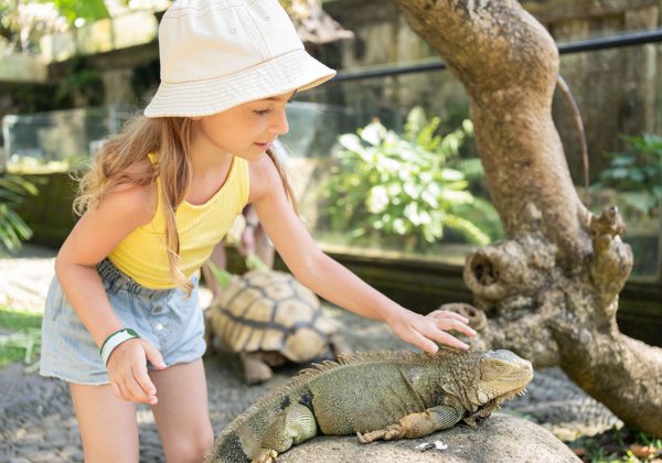 Входной билет в Парк Рептилий «Bali Reptile Park» на 1 день