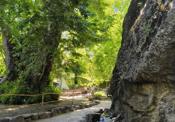 Экскурсия из Ташкента: Институт Солнца и Чарвакское Водохранилище - фото 1